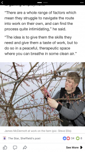 Unemployed young person work experience