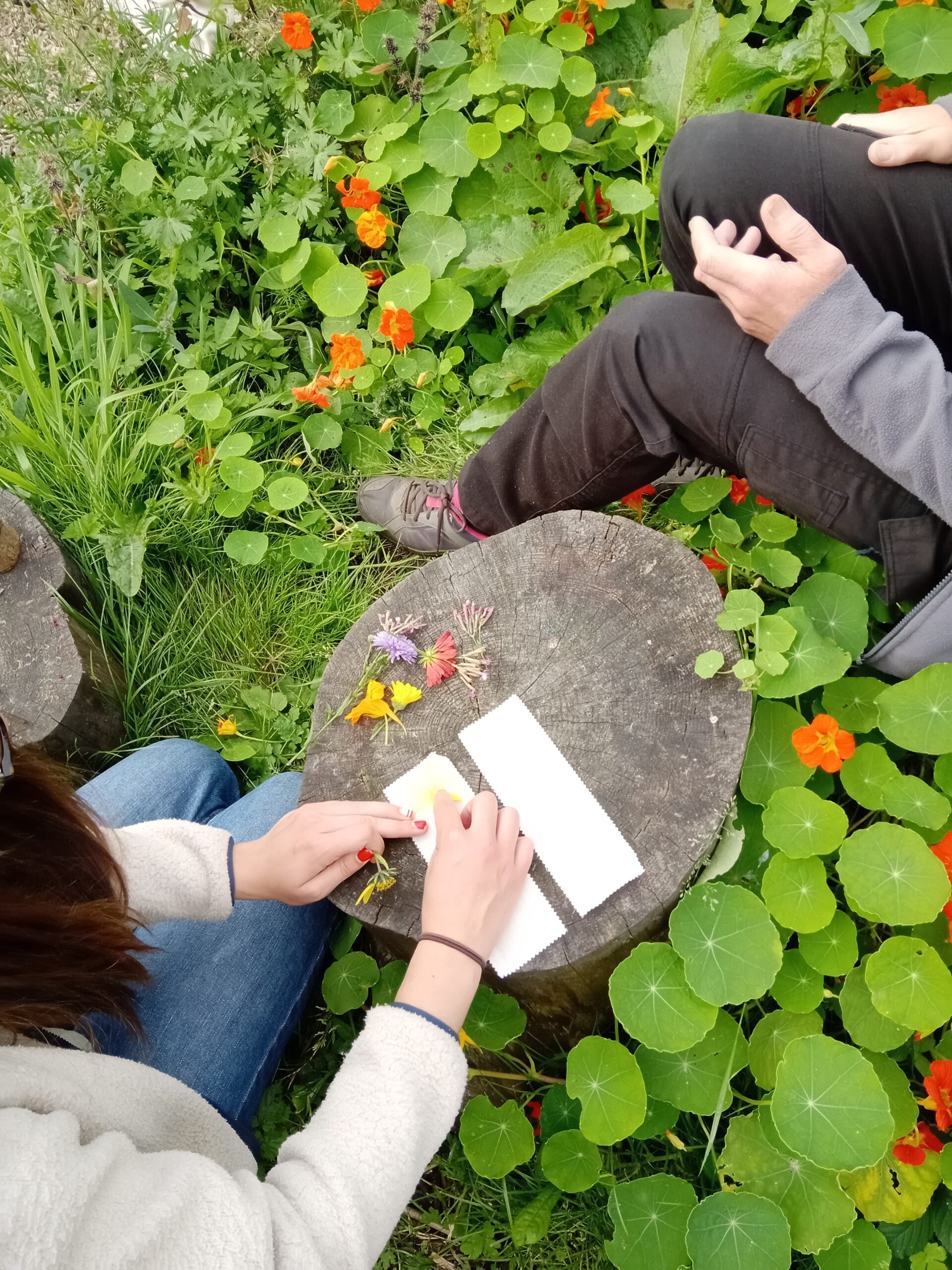 Two people sat outside around a tree log surrounded by nasturtium flowers.
