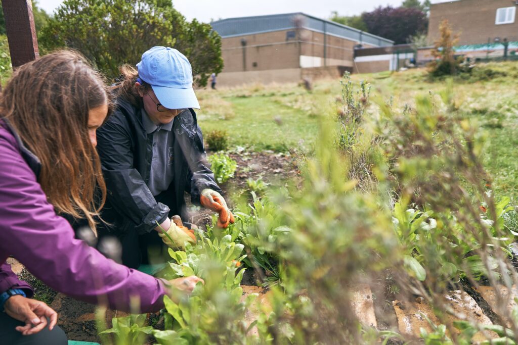 Two woman gardening outdoors